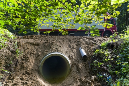 Sibelga contribue à la “défragmentation” de la Forêt de Soignes