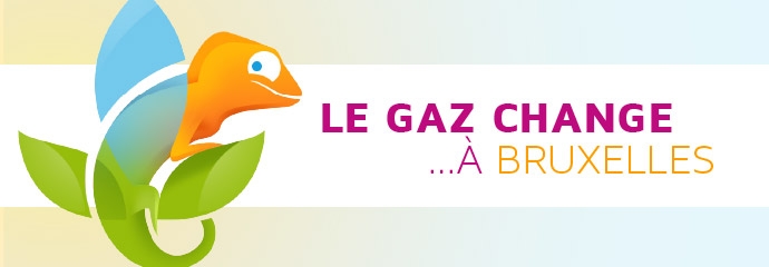 Conversion au gaz riche des 500 000 ménages bruxellois : C’est parti !
