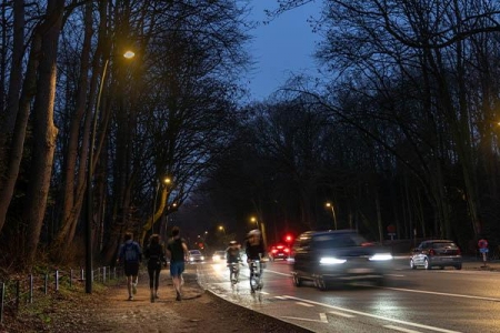 Un éclairage test grandeur nature au Bois de la Cambre
